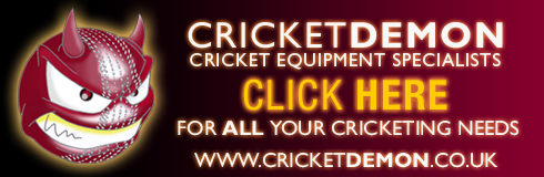 Cricket Demon